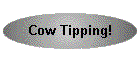 Cow Tipping!